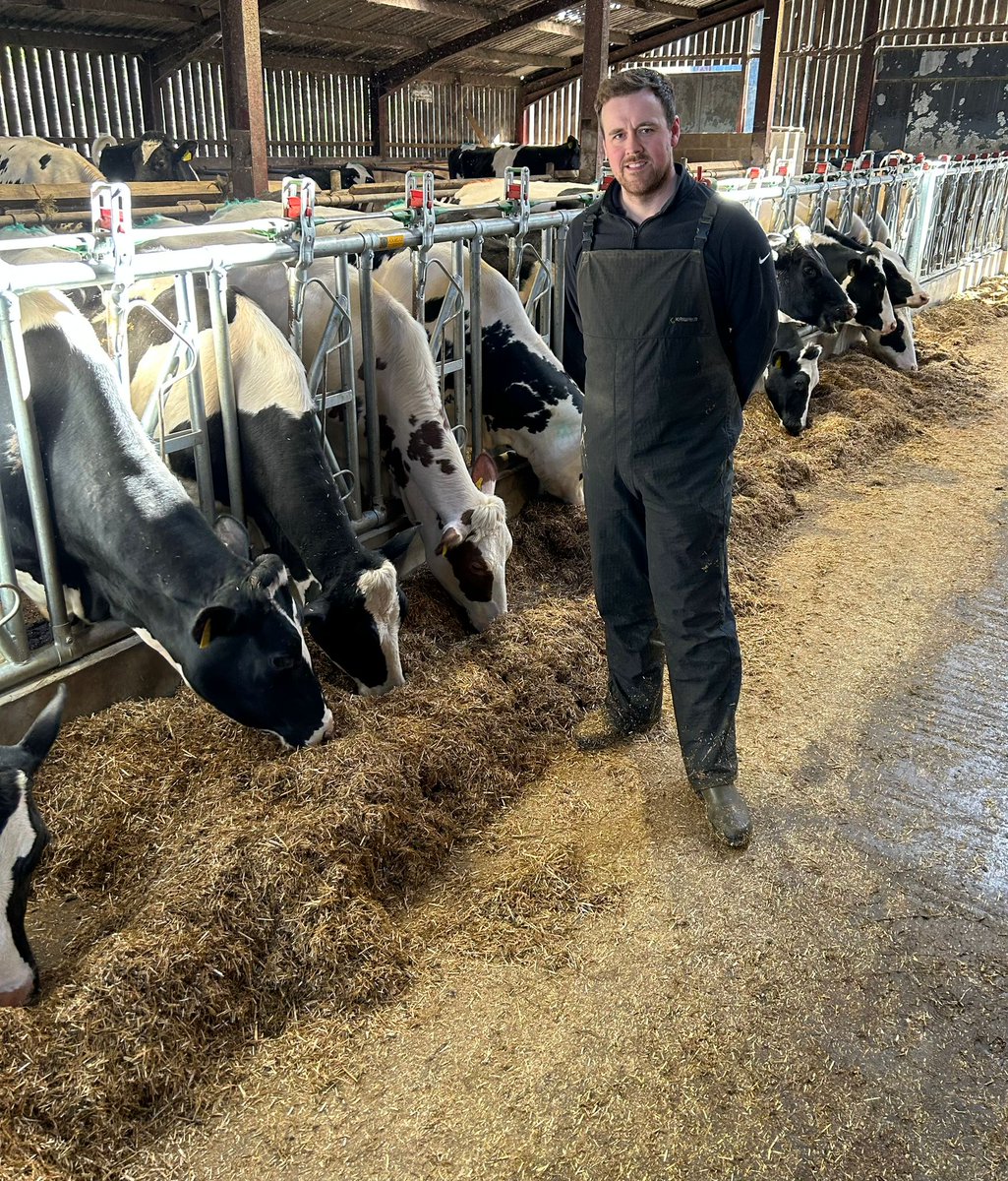 Holstein Young Breeders tweet media