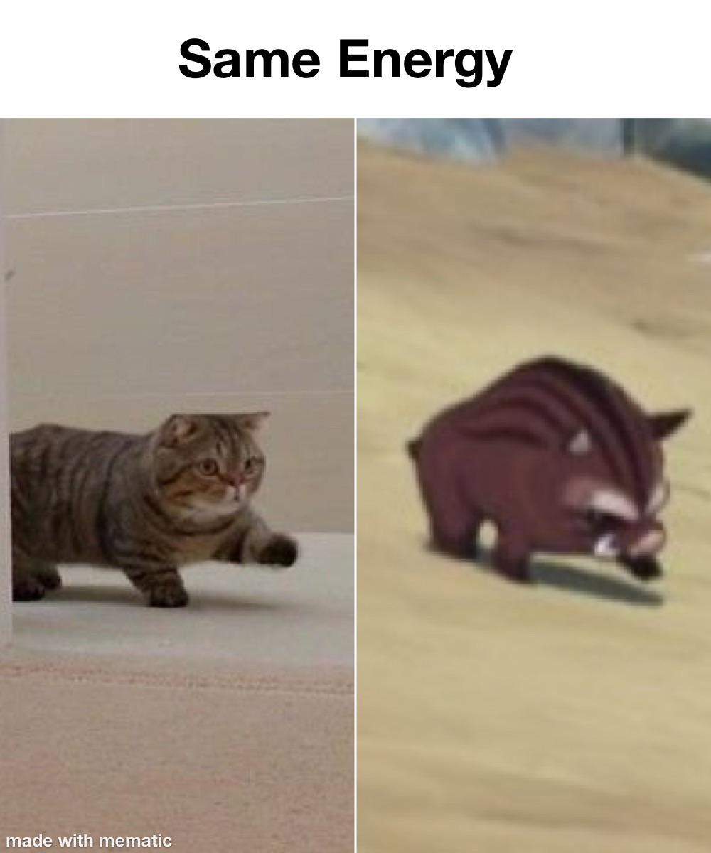 GenshinMemes's tweet image. #GenshinImpact #Genshin_Impact #GenshinMemes