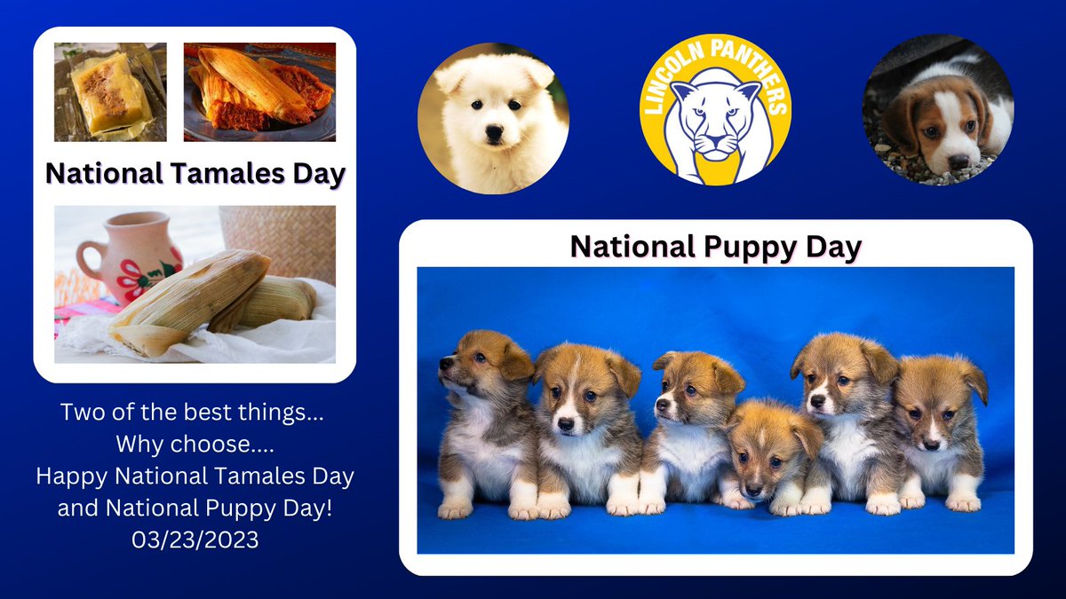 Lincoln Middle School tweet media