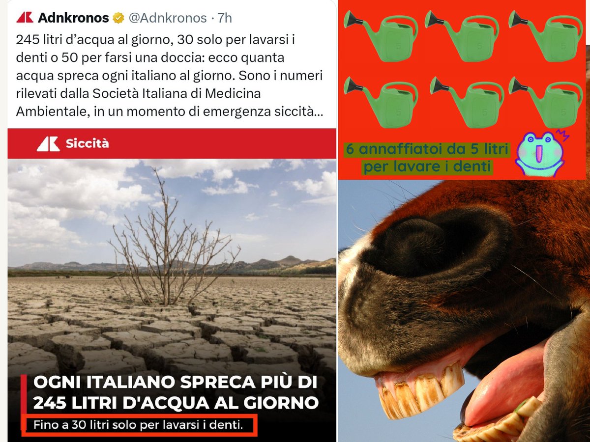 BBagDaniela's tweet photo. I membri della società Italiana di Medicina Ambientale usano 6 annaffiatoi da 5 L. al giorno per lavarsi i denti? 😱
L'arte di esagerare per colpevolizzare fa acqua da tutte le parti. https://t.co/60eMH9b8TJ