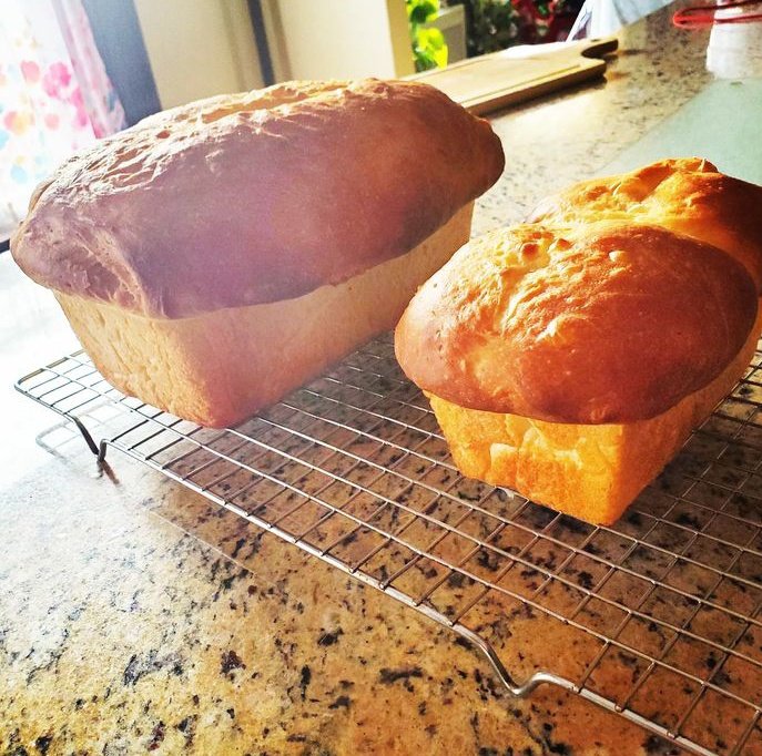 Greg Andrew (@gregand1746637) on Twitter photo 