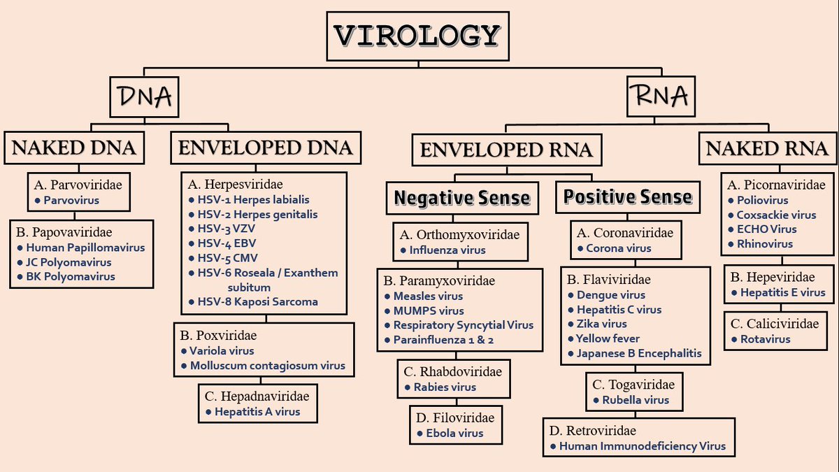 auranofinnn's tweet image. Microbiology Random notes