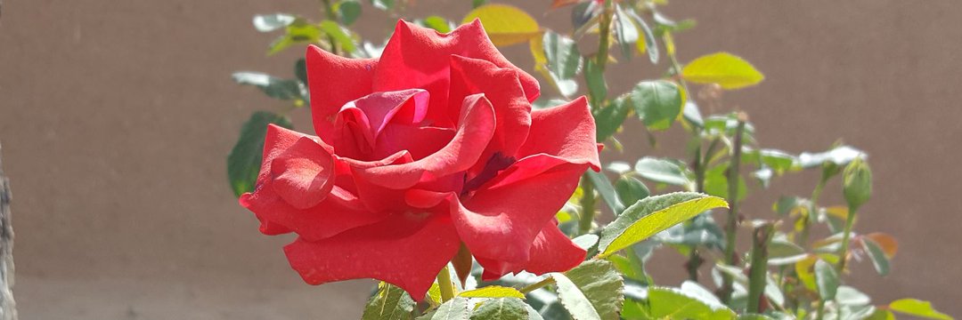AzizAdmBaloch's tweet photo. @Dostashah22 https://t.co/ZDbo0XpFBK