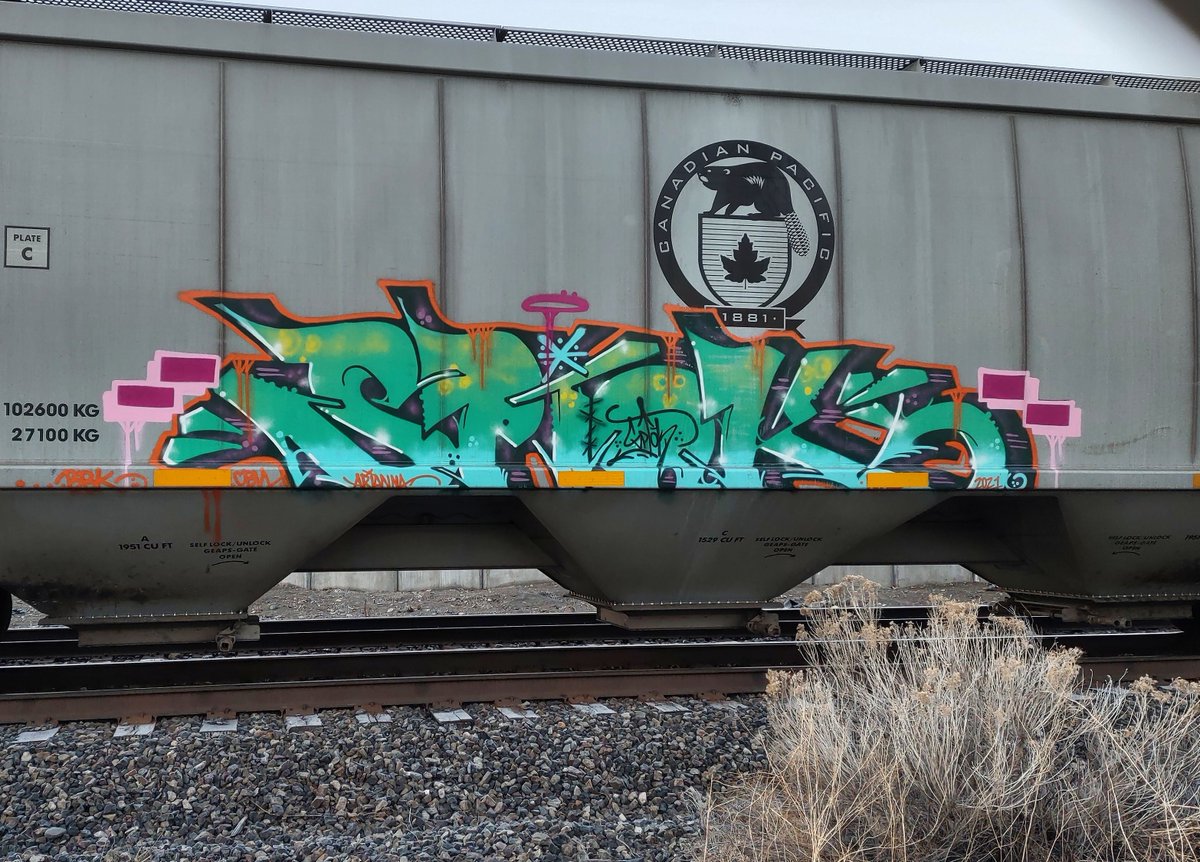 GraffitiExpress's tweet image. spink
#kamloops #train #graffiti #art 
#spink