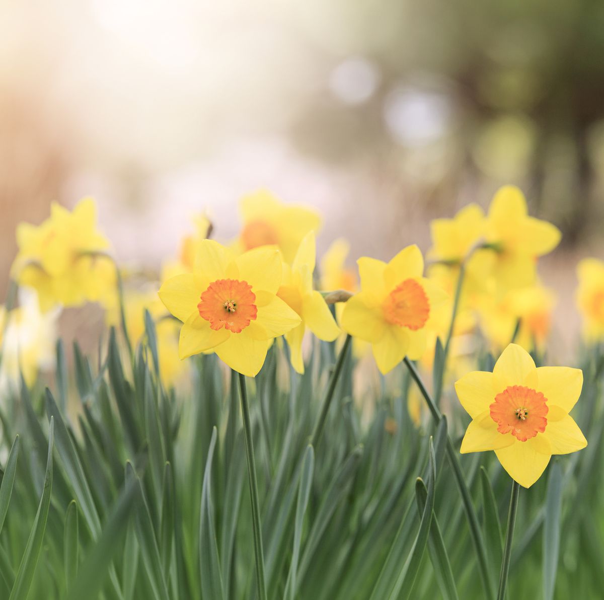 It's Spring <a href="/stjohnambulance/">St John Ambulance England</a>, which can only mean one thing to the <a href="/EstatesSja/">SJA Estates & Facilities Team</a> team we begin our work tidying our sites. In 2023 we are doubling our investment into our Proactive Maintenance Programmes ensuring our estate is looking in great shape. We will be busy bees #FM