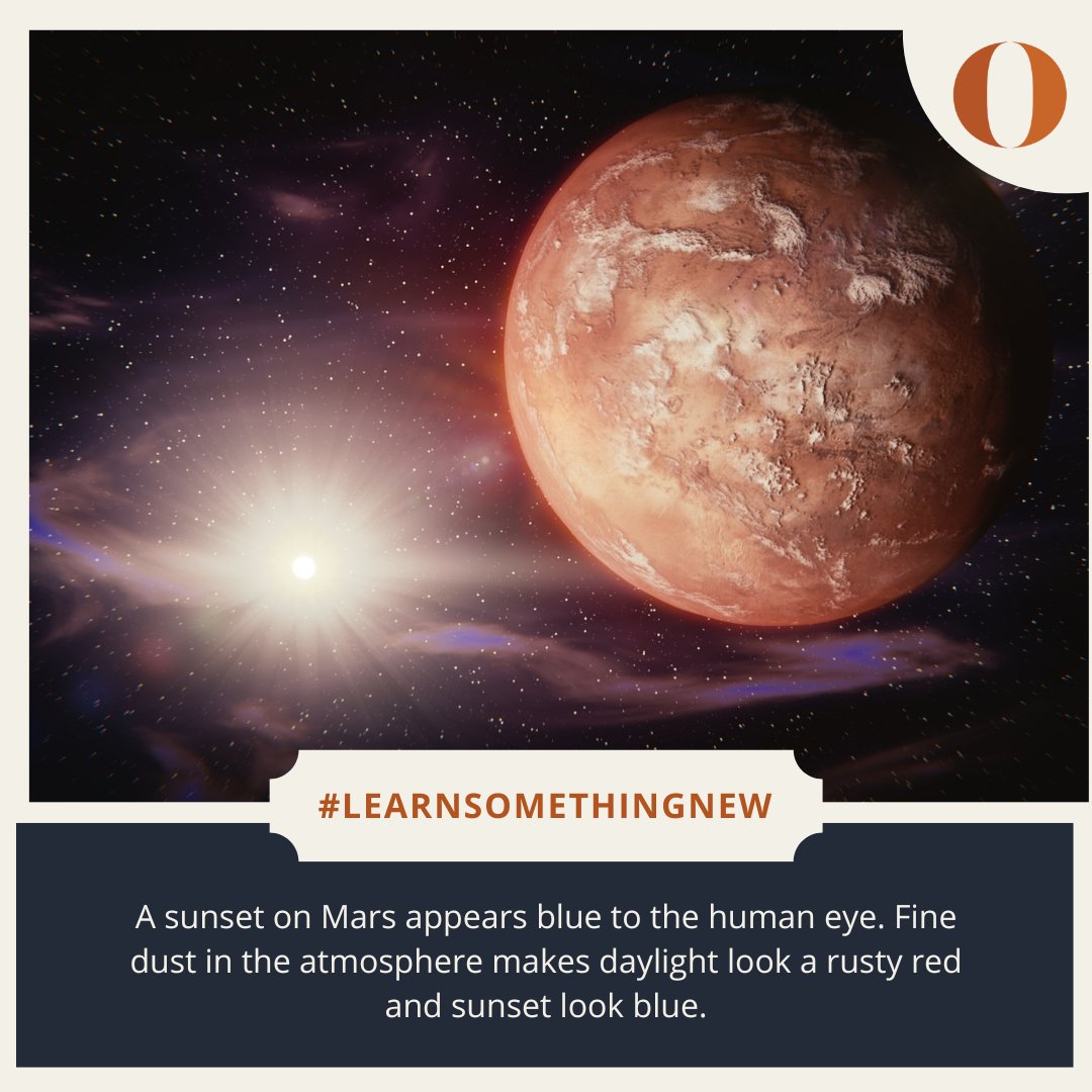 Oxford Summer Courses tweet media