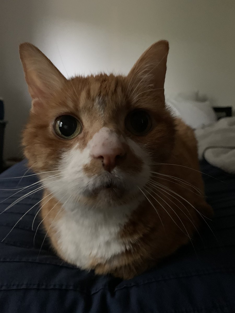 Kristin Baver (INACTIVE) tweet media