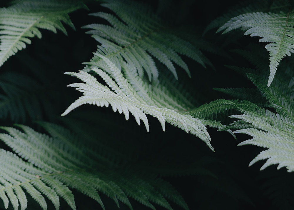 archillect's tweet image. 