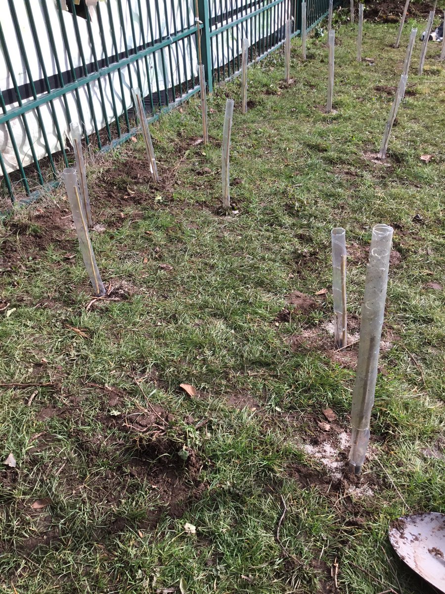 TJPrimary's tweet photo. Year 3 helped to plant TJ’s #futureforest last Friday, with the help of some special visitors! We planted oak, rowan, silver berch, dogwood and crabapple trees to provide oxygen, habitats and shade for years to come. #TJForestSchool #TJEnrich 🌳🌲🪵 https://t.co/A9IgamdyGF