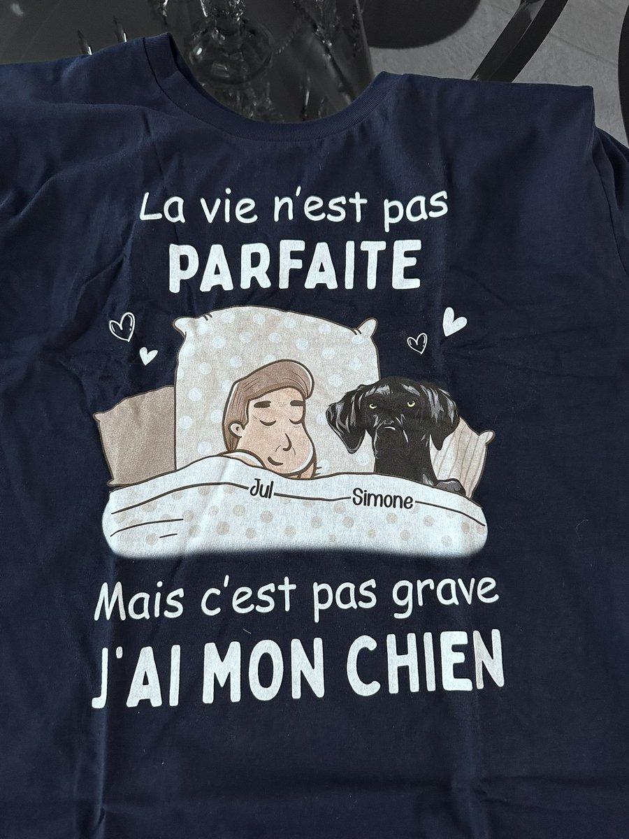 courbet_julien's tweet photo. Voilà ma philosophie #simonelechien https://t.co/GbyMiGWQ2L