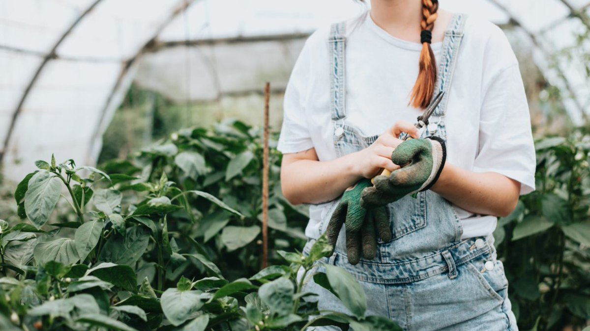 Castell Wealth Management tweet media