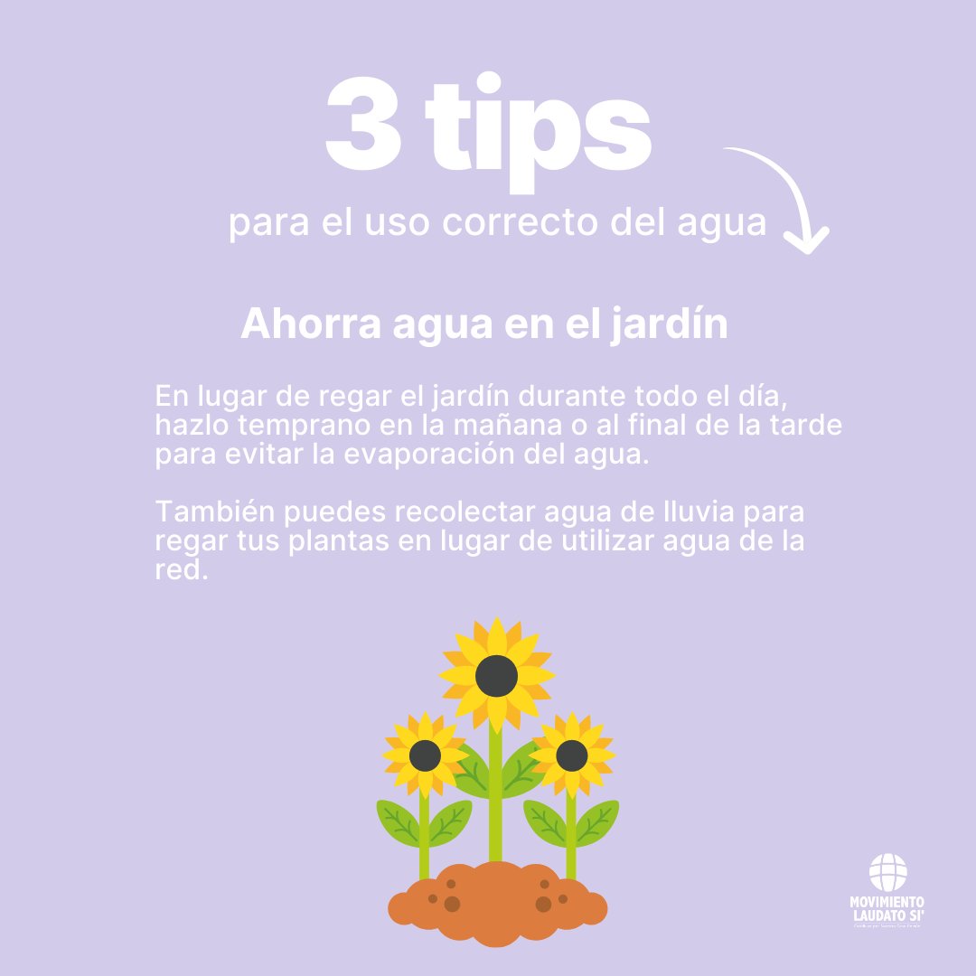 MovLaudatoSi's tweet photo. ¡Hoy celebramos el #DíaMundialdelAgua! 💜

El #agua es uno de los recursos más valiosos del #planeta, y es el momento perfecto para recordar la importancia de utilizar este recurso de manera responsable 🌎

¡Cada gota cuenta! 💧💦 

#DiaDelAgua #UsoResponsableDelAgua https://t.co/4ogX30dA5T