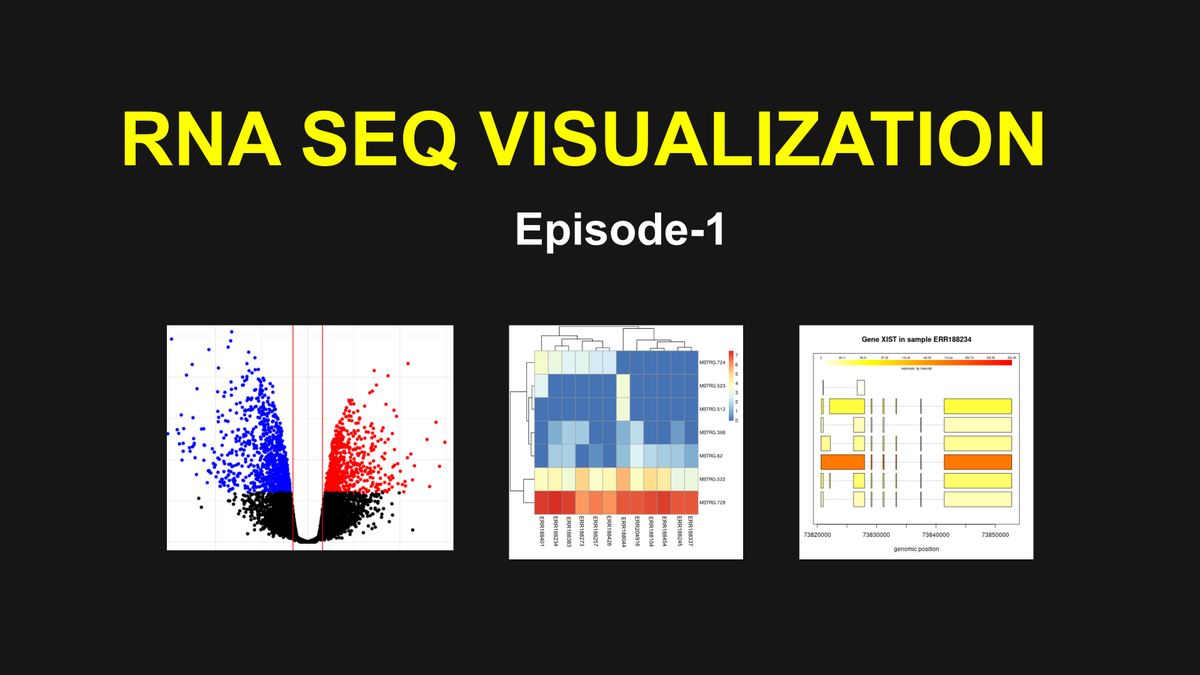 informatician3's tweet image. How to visualize RNA Seq data with #R
youtu.be/tUrCsvjdaAk
#Bioinformatics #DataScience #rnaseq #rna