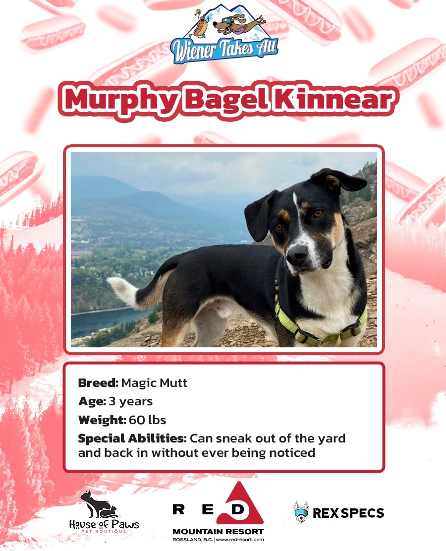 redresort tweet media