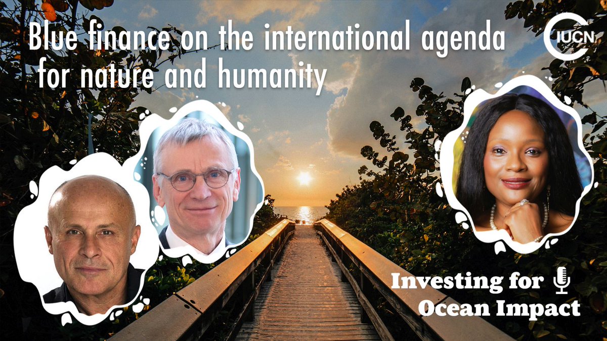 🎙️#Podcast alert!
In the final episode of #InvestingForOceanImpact @IucnOcean's @epps_minna discusses #BlueFinance w/ French Ambassador for Polar & Marine Issues @O_Poivre_dArvor, @RamsarConv's SG @MumbaMusondam & @UNBiodiversity's Acting ES @hdavidcooper: bluenaturalcapital.org/podcast/