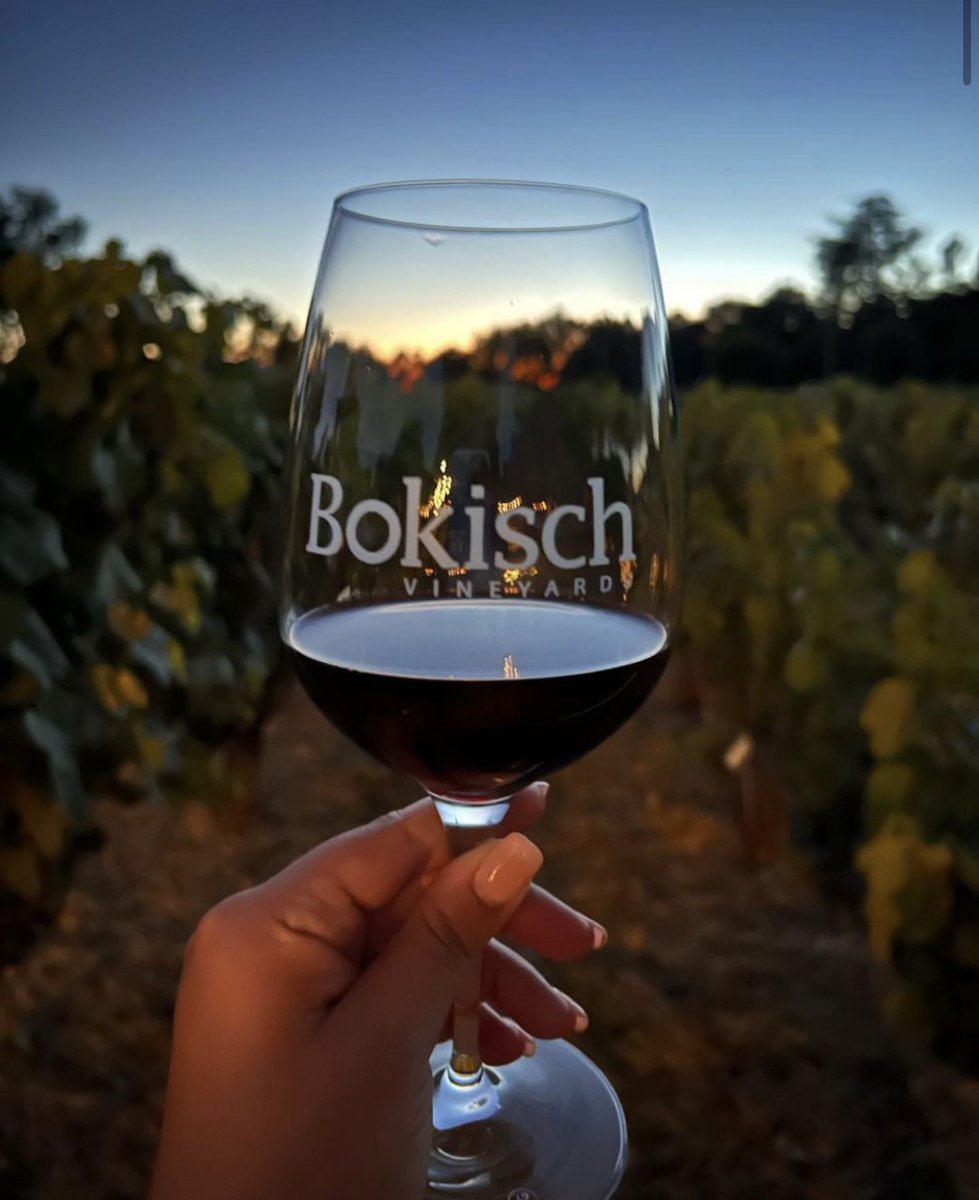 Visit Lodi! tweet media