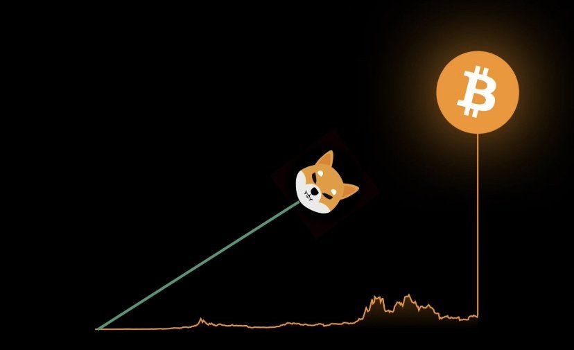 Shib Spain On Twitter If BTC Reaches 1 Million SHIB Could Hit shib-spain-on-twitter-if-btc-reaches-1-million-shib-could-hit
