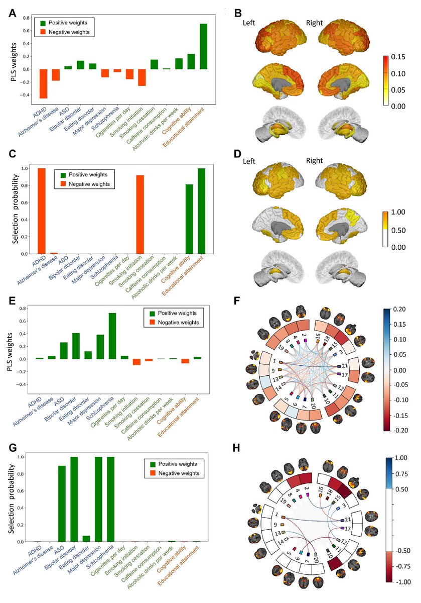dr_appie's tweet photo. ADHD &amp; cognitive polygenic scores reveal stronger ties to brain structure, while polygenic scores for other psychiatric conditions lean more towards brain function associations 🧬🧠

Out now in @BiologicalPsyc1:  https://t.co/maHrR70XjH https://t.co/QLm4chKg5f