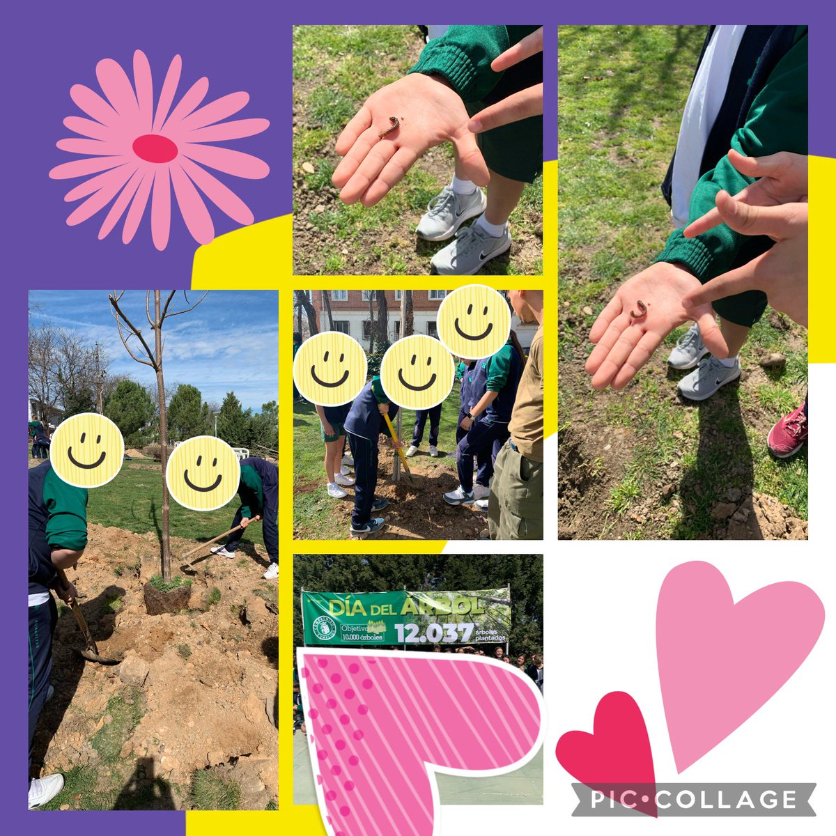 Día del árbol. Hemos replantado algunos árboles en el “parque de los patos”
@5Hbst <a href="/HBSTORREJON/">Humanitas Torrejón</a>