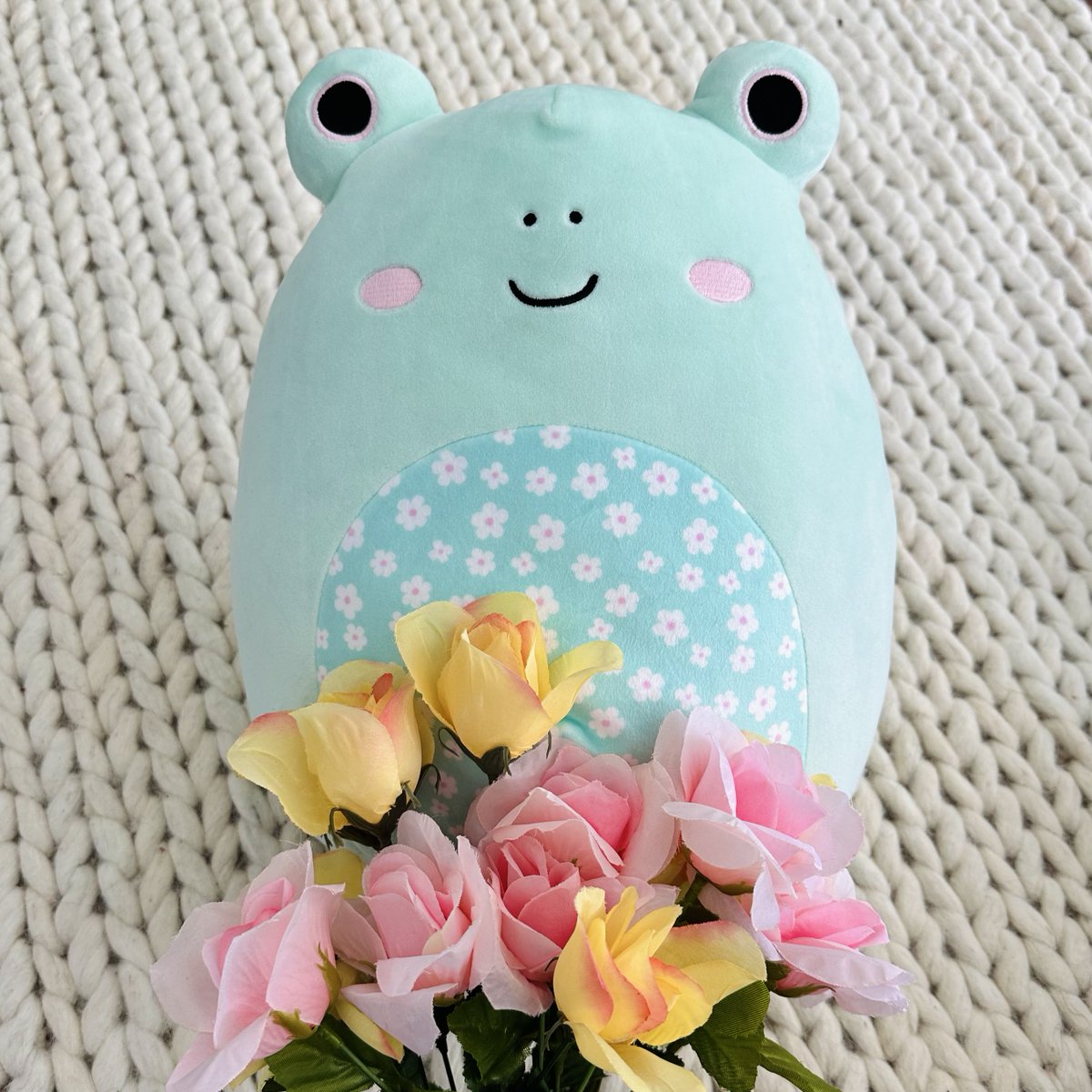 squishmallows tweet picture