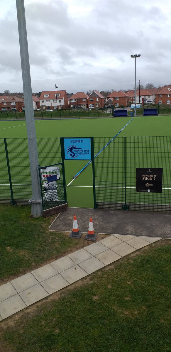 Bysing Wood Primary tweet media