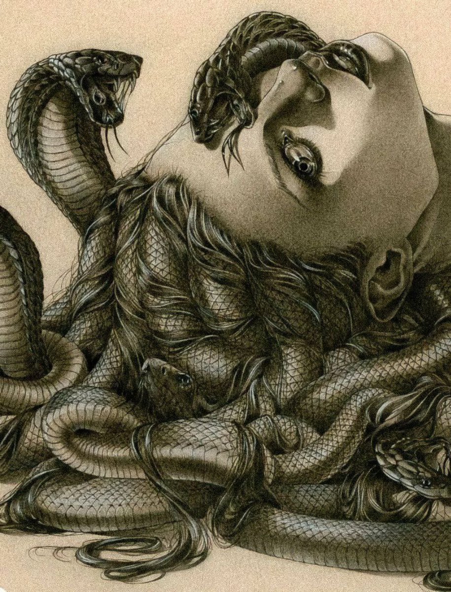 “medusa” by zoe lacchei