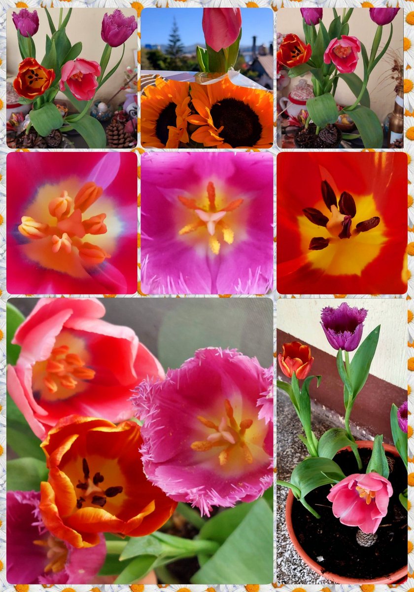 anamsrl's tweet photo. Gracias infinitas a esas personas que siempre están, no importa el momento, el lugar, la distancia, el tiempo...simplemente están!🌷💐

«Que importantes son esas personas 
que te dan la mano en ese preciso momento el que no sabes ni tan siquiera dónde está tu cuerpo. Sara Bueno» https://t.co/T0B5RLMLo6