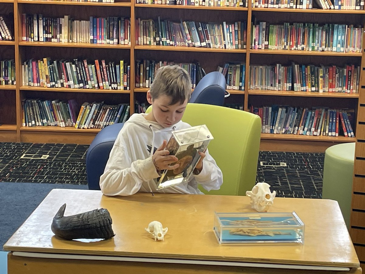 Heather McCullar tweet media