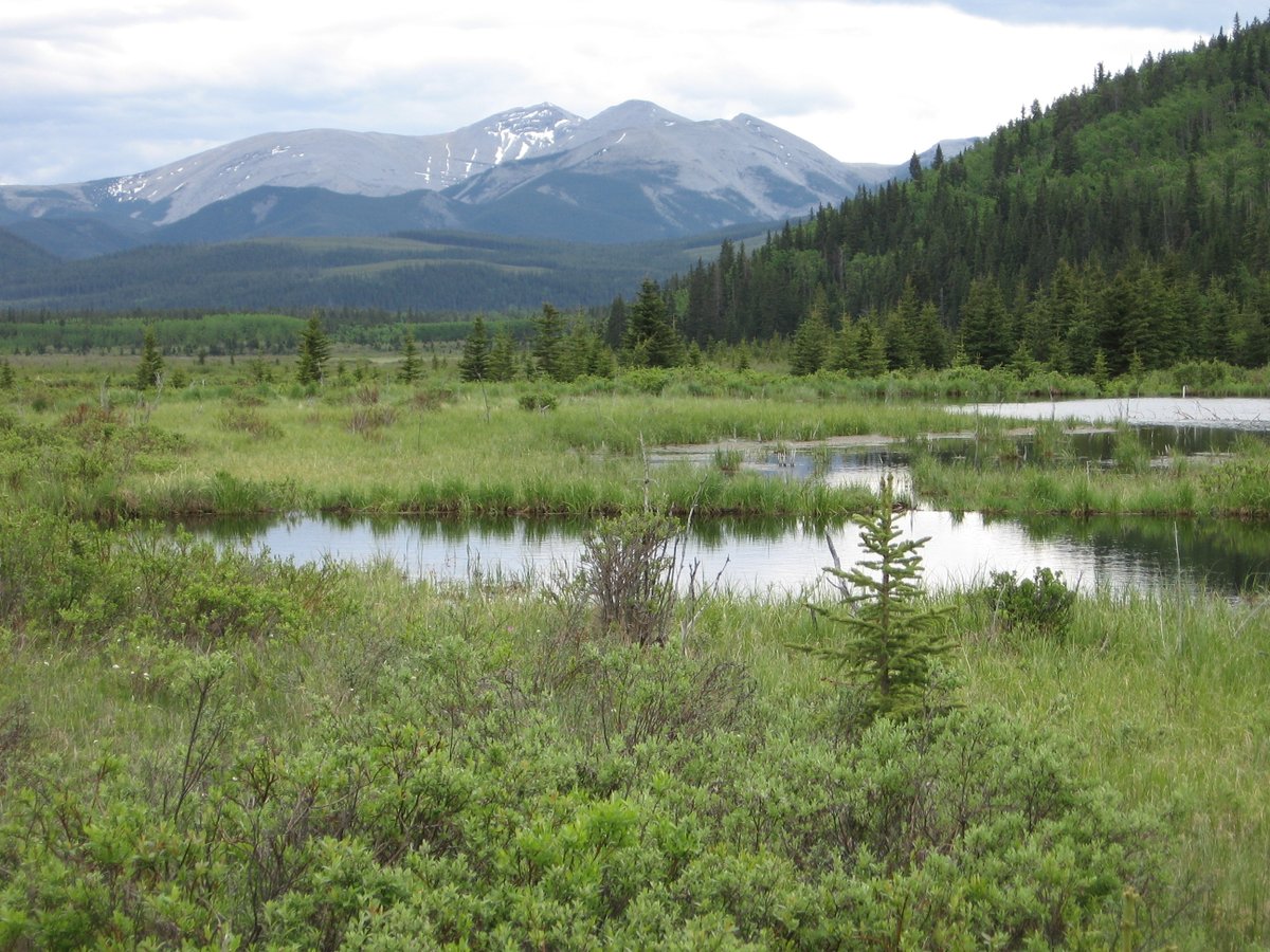 Cherie Westbrook tweet media