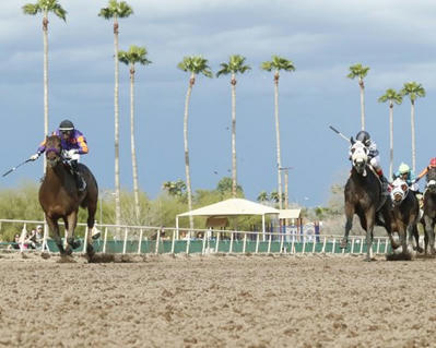 HISA Gives Turf Paradise Until March 31 to Fix Rail - BloodHorse bloodhorse.com/horse-racing/a…