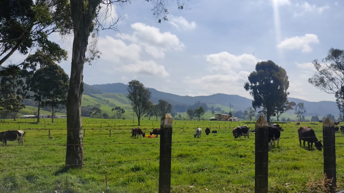 radiomuneraspm's tweet photo. Nos reporta un querido oyente desde San Pedro de los Milagros. Qué bello día! https://t.co/xw4Xo0gFnG