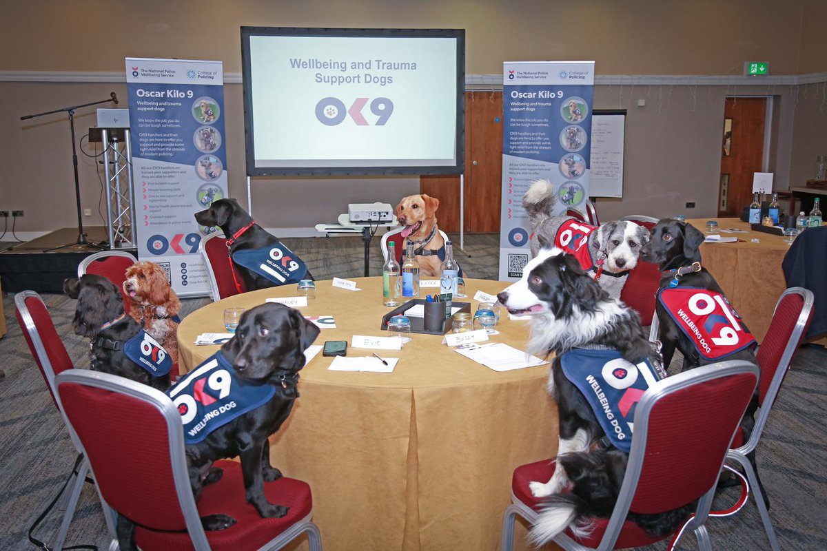 The #OK9 dogs held their own little get together to discuss an increase in their ‘treat’ allowance at the OK9 Conference! Luckily they enjoy the role and there was no bones 🦴 of contention! 💙❤️💙😆👍🐾 <a href="/OscarKiloUK/">Oscar Kilo</a> @CCJoShiner #Wellbeing #police #firefighters <a href="/DogsTrust/">Dogs Trust 💛🐶</a> #dogs