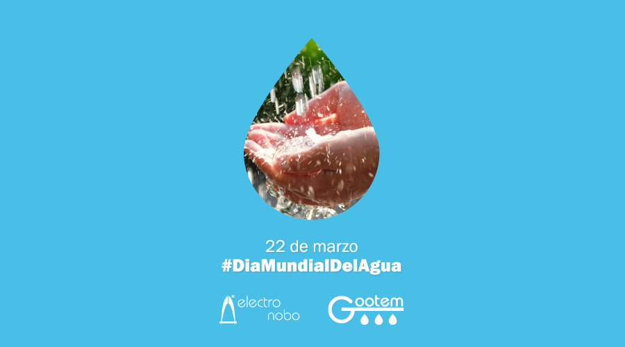 Sabemos que cada 💧 gota cuenta. Hoy, en el #DiaMundialDelAgua, la 📡 #digitalización en la gestión y conservación del #agua es de suma importancia para el ✅ uso correcto de este 👍 recurso vital tan importante. #Electronobo por #Unregadíomásseguro. #agricultura #sostenibilidad