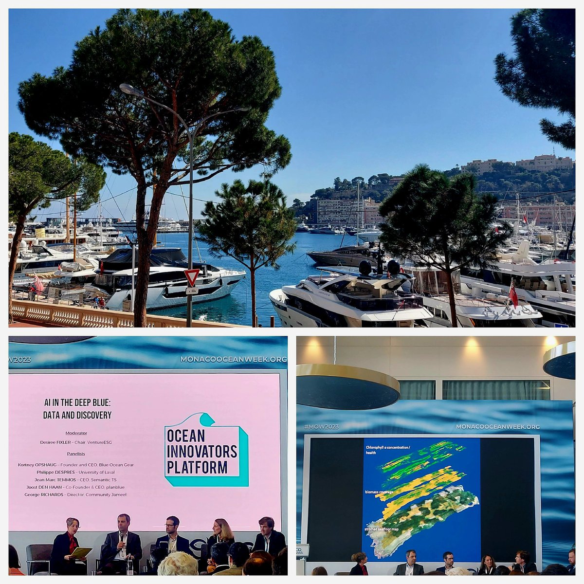 NachmanyMichal's tweet photo. At #OceanInnovatorsPlatform in gorgeous Monaco, cheering for our brothers in arms who are using data science & AI to map & protect the oceans (biomes, plastic, ocean floor). We share the many challenges around data governance & incentives for data creation & maintenance.
#MOW2023 https://t.co/buZxg4dDqA