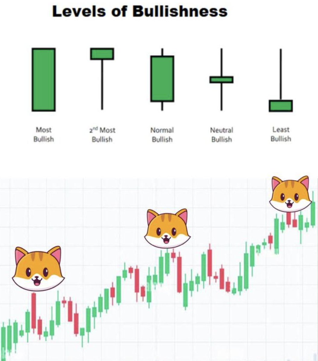 catecoin's tweet photo. #Cate the cat💪🏻
Don't be mean just go Green💚
"I can do this all day."

#Catecoin #nft #100xgem #Catearmy #1000xgem https://t.co/EcrvvaRTqb