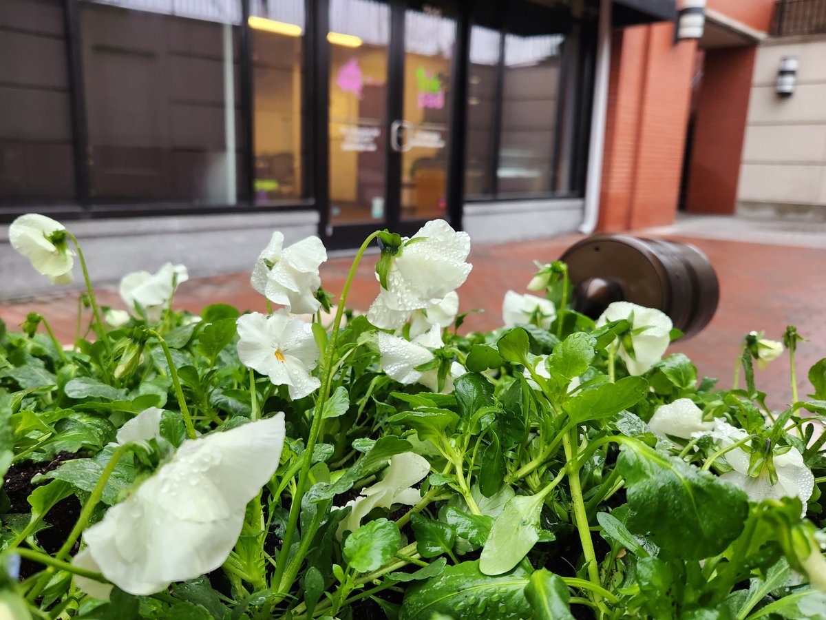 Spring... is that you?! 👀 Is your team ready for a change, not just in weather? Go off-site to the ink pad. Learn more: booktheinkpad.com #spring #readyforchange #inkpad