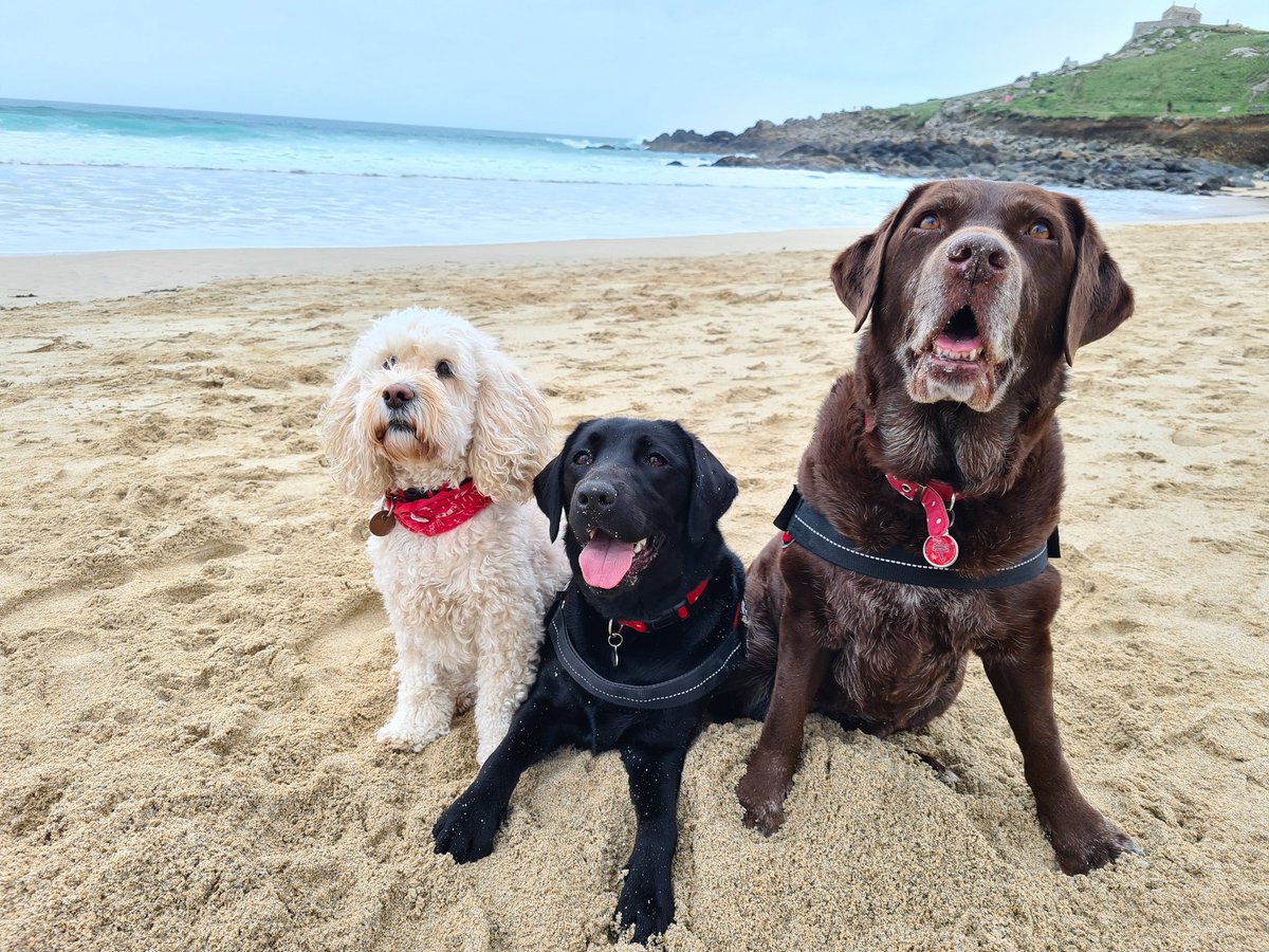 We are loving the beach down in Cornwall