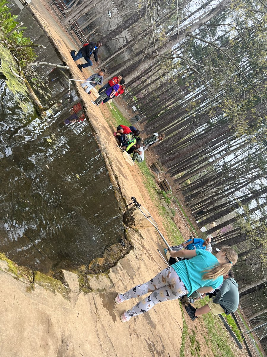 BleweducateHER's tweet photo. Part two of 3rd graders enjoying their field trip to Blue Jay Point County Park. There’s no greater way to celebrate your birthday, than doing what you love with students you truly love. #wearecrew @WilburnElem #30thbdayvibes https://t.co/KTUYvOLXG3