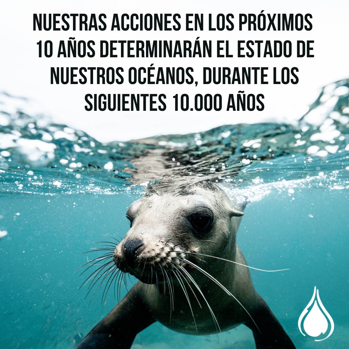 HacesMas's tweet photo. #DiaMundialDelAgua 

Nuestros océanos están en un punto crítico 👉 en toda la historia de la humanidad nunca hemos podido hacer tanto en tan poco tiempo. 

1 litro de aceite usado podría contaminar 1.000.000 de litros de agua. 
Descubre cómo lo evitamos en https://t.co/PKvMwkmswb https://t.co/2xJM1jCRJs