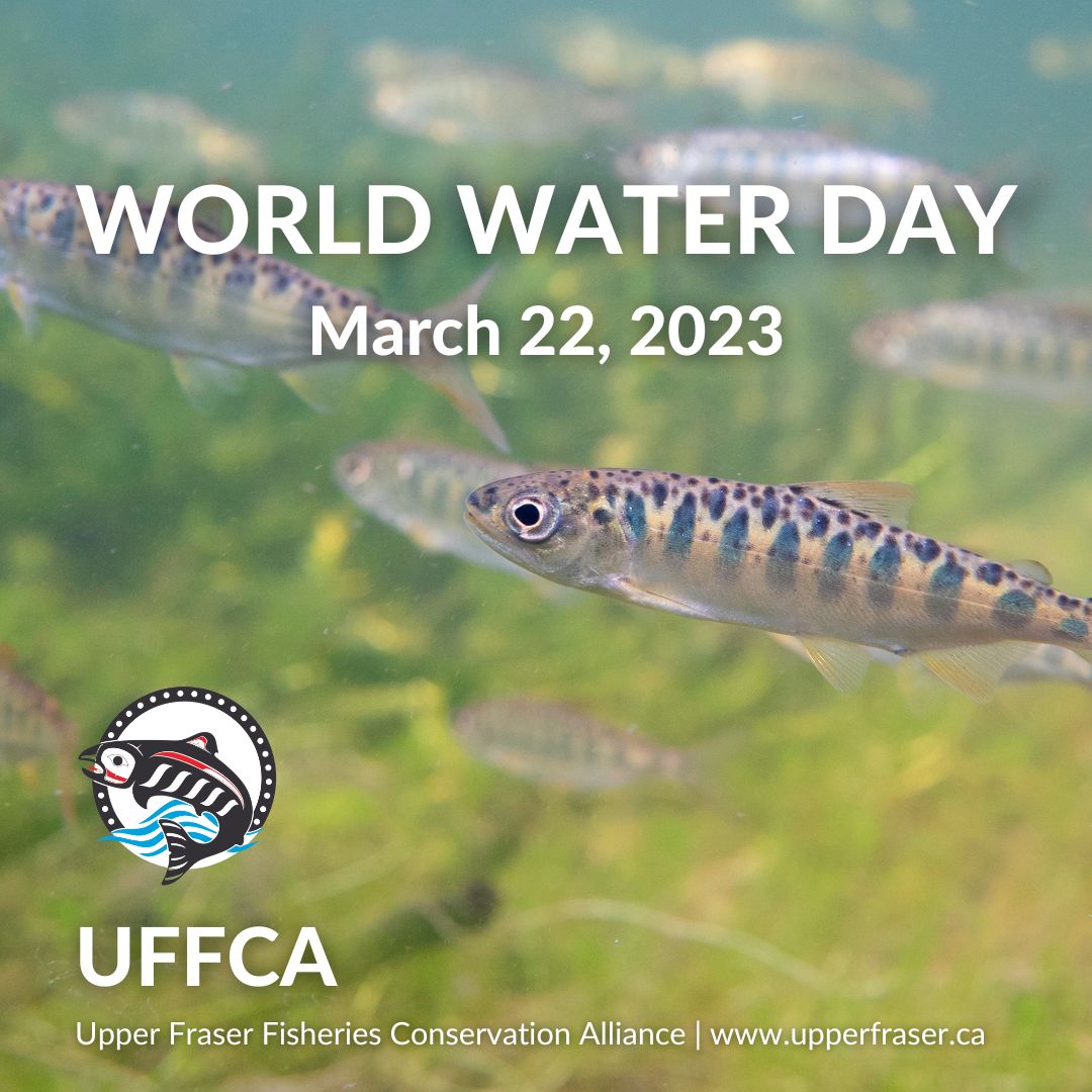 Happy #WorldWaterDay! Through projects like water monitoring and habitat restoration, Upper Fraser First Nations are working together to protect freshwater ecosystems in the Upper Fraser watershed and the many fish populations they support.