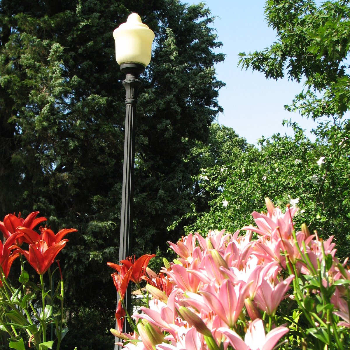 VisitPoncaCity's tweet photo. Hello Spring! #VisitPoncaCity! https://t.co/aKEGE1hAhL