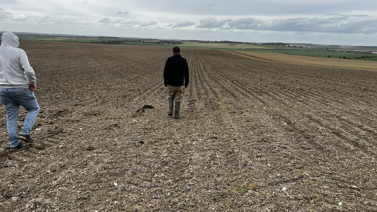 Seguimos recorrido por 🇬🇧 hoy pisando lotes con 1000 años de Produccion que rinden 8-12 tn / ha de trigo! 😱