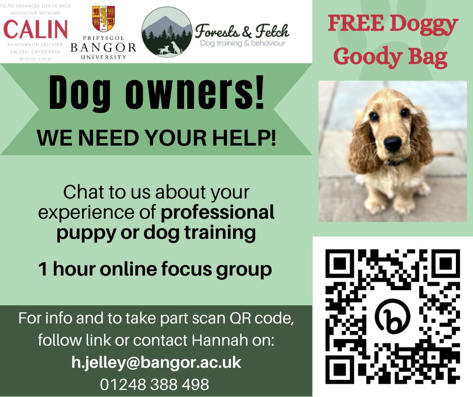 Dog owners we want to learn about your experiences of professional puppy or dog training! 🐶 

Join our online focus groups and receive a free doggy goody bag!  

Follow this link for more info and to sign up: bit.ly/40nSuBz