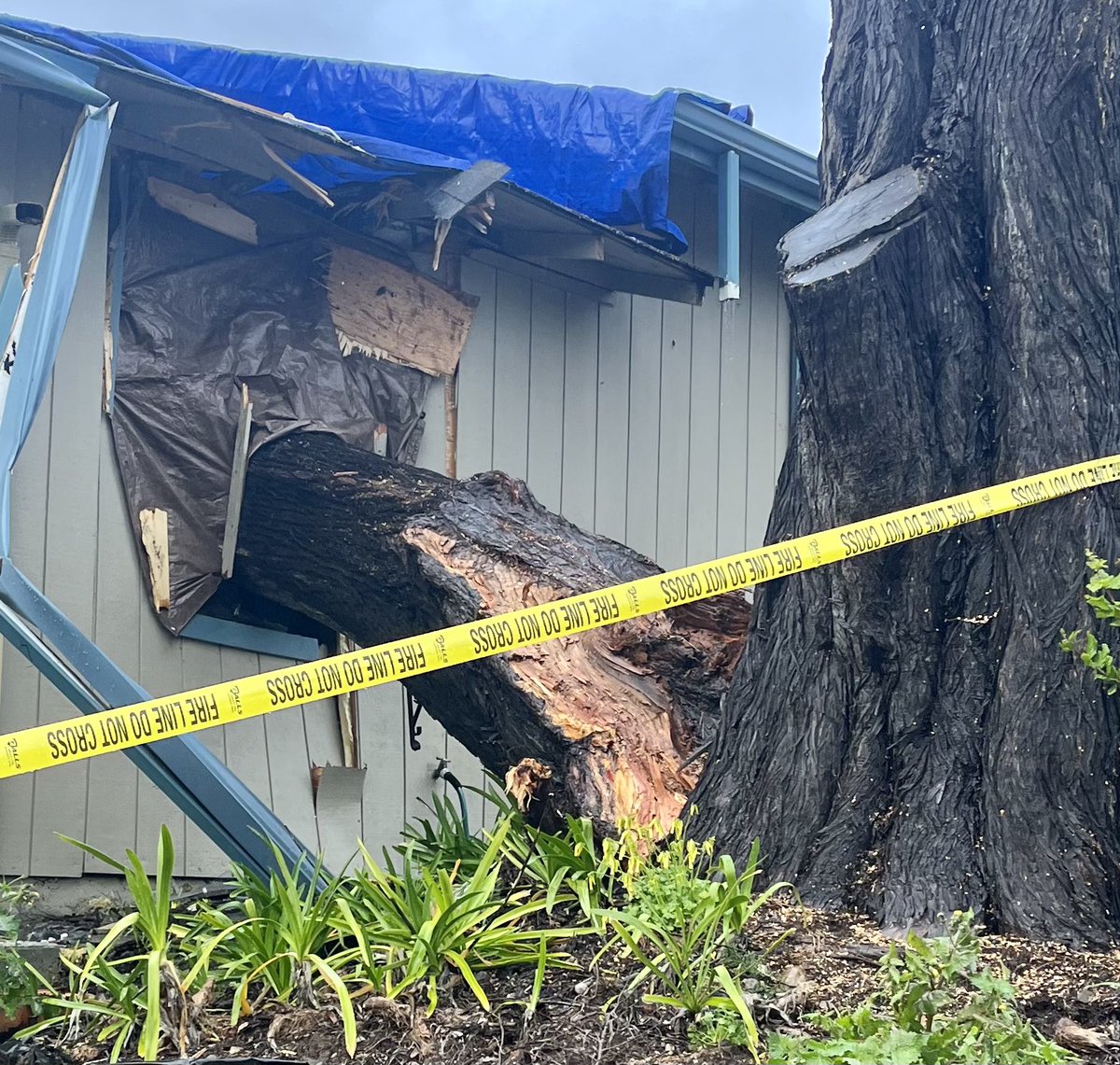 The winter of endless rain in #aptos &amp; #California. #atmospheric_river