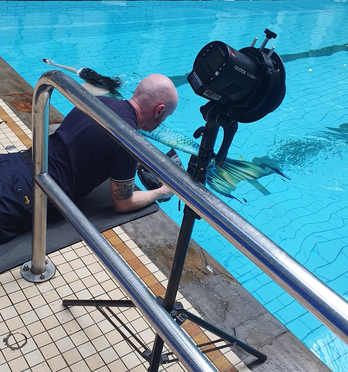 Zoe_Parker's tweet photo. A few shots from @YorksLifeAqua @BramleyMermaids #photoshoot with @SimonHulmeYPN @LeedsNews today! #underwatercamera
@Lulovesglitter #MoreThammnAPool https://t.co/M2AwqPfZOT
