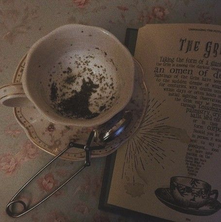 * 𝙈𝑜𝑜𝑛𝑦 tweet media