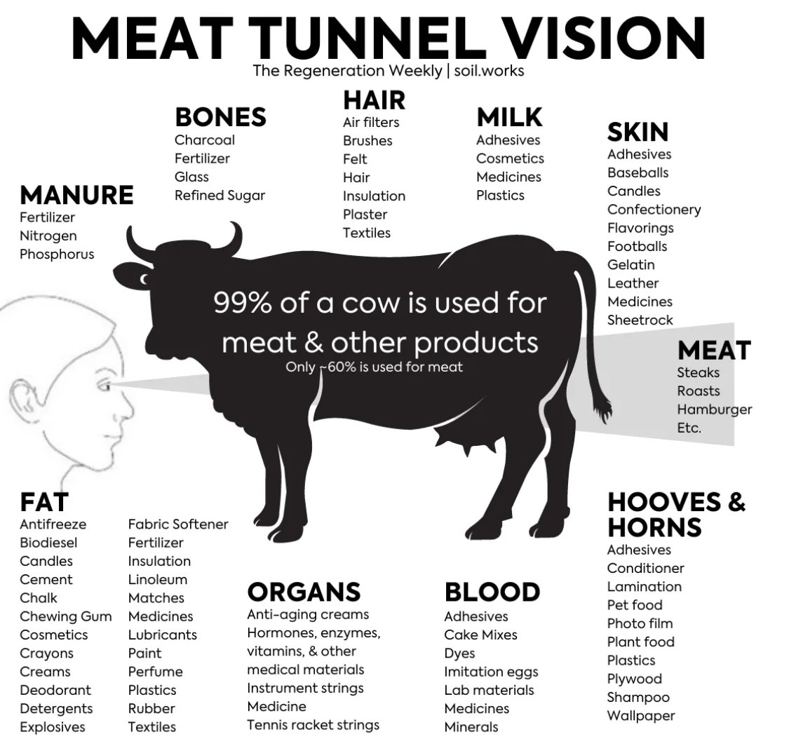 Filip Hucko tweet media