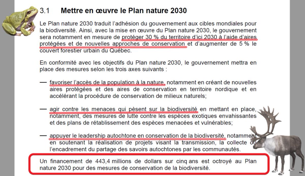 snapqc's tweet image. Quand on lit ces lignes dans le #BudgetQc2023 on peut dire que la nature s&apos;est vraiment invitée dans la réflexion au plus haut niveau. 

🙌🏽 Bravo @CharetteB @EnvironnementQc @francoislegault @EricGirardMFQ pour cet engagement clair envers la protection de la biodiversité.