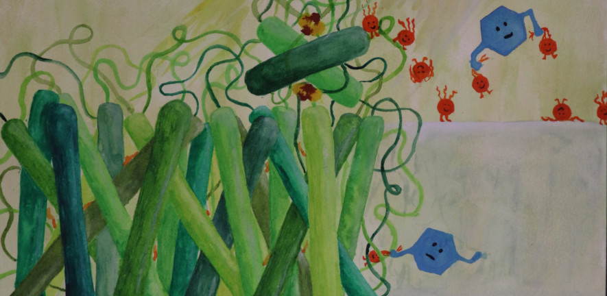 Great research from Zhang and colleagues on new potentials for photosynthesis! ch.cam.ac.uk/news/photosynt…
