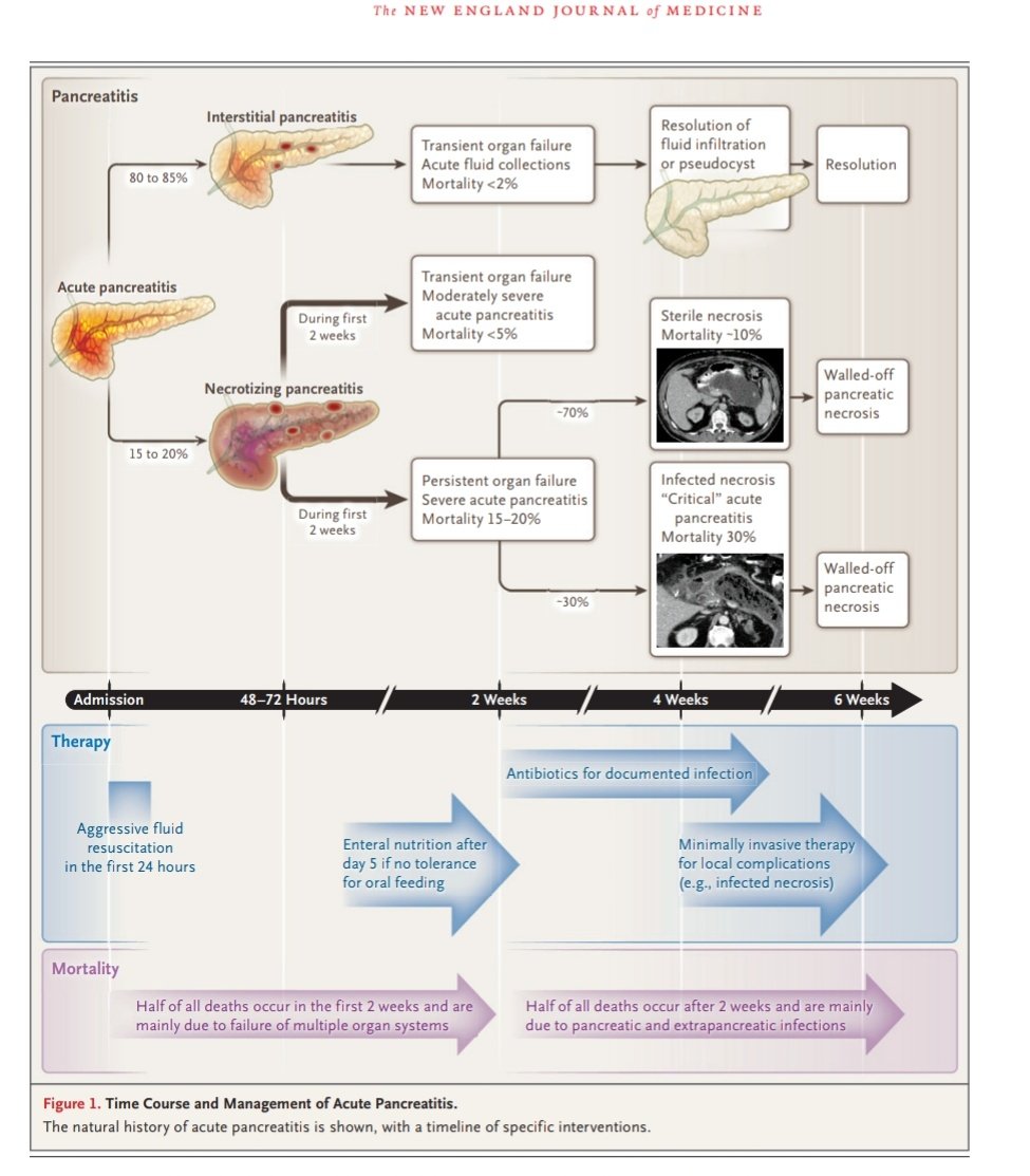 SOMELaguna's tweet photo. Pancreatitis Aguda 👌🏼

📚NEJM

DOI: 10.1056/NEJMra1505202

Acceso a articulo completo ✅🆓️
https://t.co/pdXNGVQqPA https://t.co/kdETIF7VPv